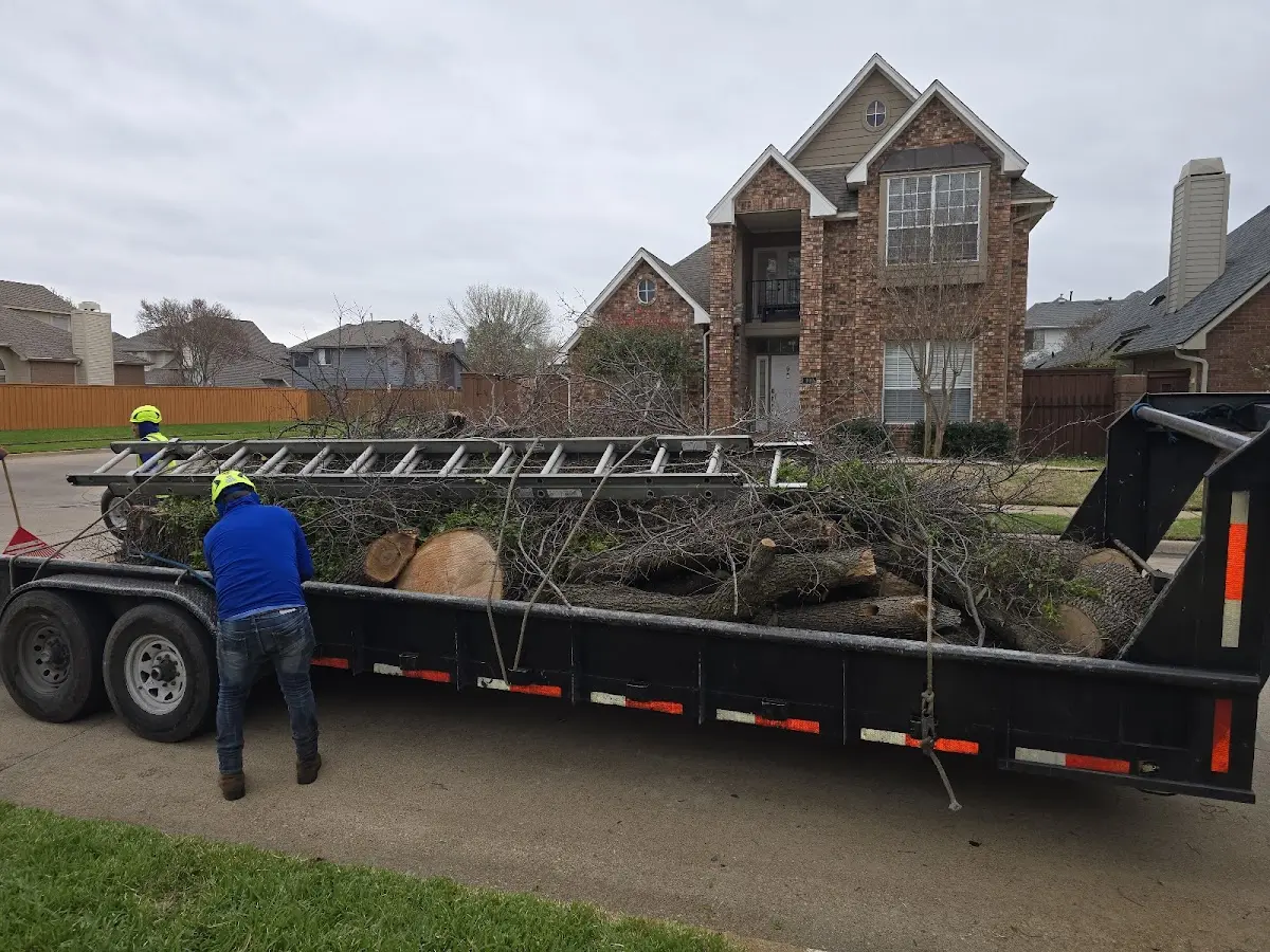 Expert Tree Pest Control with proper safety equipment in Owen